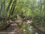 205 Coosa County Rd 130 - Photo 4