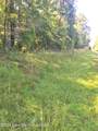 Lot 9 & 10 Andrew Jackson Road Rd - Photo 3