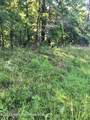 Lot 9 & 10 Andrew Jackson Road Rd - Photo 4