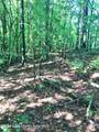 Lot 9 & 10 Andrew Jackson Road Rd - Photo 6