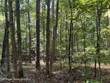 Lot 91 Tall Pine Pl - Photo 1