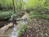 19+/- Acre Sasser Rd - Photo 10