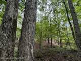 19+/- Acre Sasser Rd - Photo 11