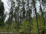 19+/- Acre Sasser Rd - Photo 4