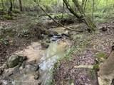 19+/- Acre Sasser Rd - Photo 8