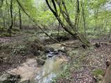 19+/- Acre Sasser Rd - Photo 9