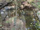 70+/- AC Pleasant Rd - Photo 10