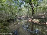 70+/- AC Pleasant Rd - Photo 12