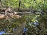 70+/- AC Pleasant Rd - Photo 13