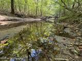 70+/- AC Pleasant Rd - Photo 14