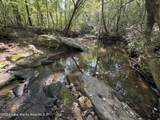 70+/- AC Pleasant Rd - Photo 15