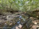 70+/- AC Pleasant Rd - Photo 16