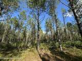 70+/- AC Pleasant Rd - Photo 19