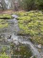 70+/- AC Pleasant Rd - Photo 20