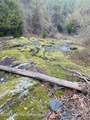 70+/- AC Pleasant Rd - Photo 22