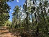 70+/- AC Pleasant Rd - Photo 4