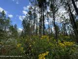 70+/- AC Pleasant Rd - Photo 5