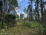 70+/- AC Pleasant Rd - Photo 6