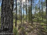 70+/- AC Pleasant Rd - Photo 7
