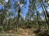 70+/- AC Pleasant Rd - Photo 8