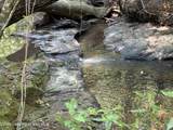 70+/- AC Pleasant Rd - Photo 9