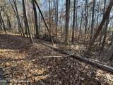 Lot 92 Tall Pine Pl - Photo 10