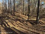 Lot 92 Tall Pine Pl - Photo 8