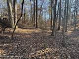Lot 92 Tall Pine Pl - Photo 9
