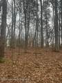 25 Lot 25 Bent Hickory Lane - Photo 3