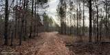 24+/- Pleasant Rd - Photo 13
