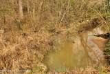 8131 Highway 63 North - Photo 24