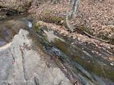 178.71+/- Ac Churchill Rd - Photo 11