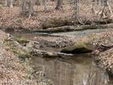 178.71+/- Ac Churchill Rd - Photo 13