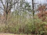  Lot 43 Althea Loop - Photo 1