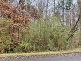  Lot 43 Althea Loop - Photo 3