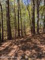  24A Larkspur Ln - Photo 5
