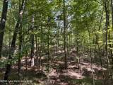 Lot 9 Pineview Ln - Photo 1