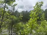1485 Scott Rd - Photo 41