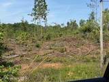 30+/- Acres On Hamlet Mill Rd - Photo 3