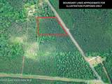  Parcel 4 Highway 63 N - Photo 3