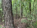16+/-AC County Rd 111 - Photo 4