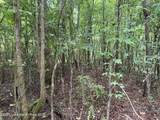 16+/-AC County Rd 111 - Photo 5