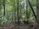 16+/-AC County Rd 111 - Photo 7
