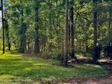 357 Walk About Ranch Rd - Photo 2