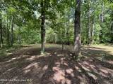 357 Walk About Ranch Rd - Photo 3