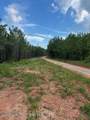 908 Pineforest Dr - Photo 4