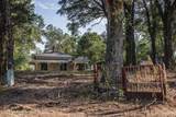 8146 Co Road 59 - Photo 77