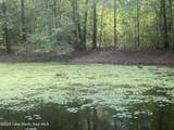  +/- 60 Acres Coosa County Rd 5 - Photo 12