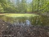 +/- 60 Acres Coosa County Rd 5 - Photo 13