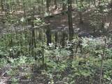  +/- 60 Acres Coosa County Rd 5 - Photo 20